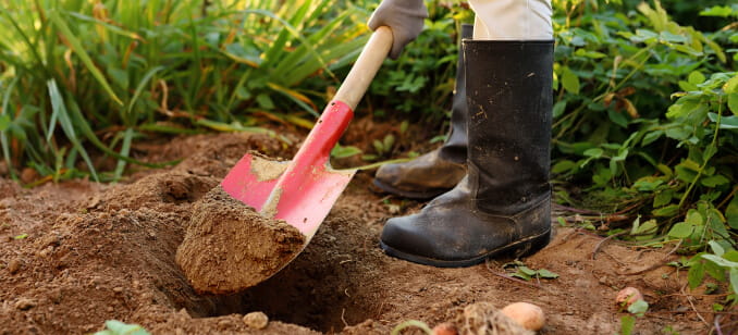 Woman wearing boots digging in her garden